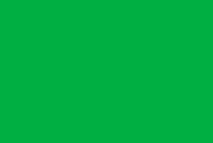 Picture of 4x6 Green Screen Banner